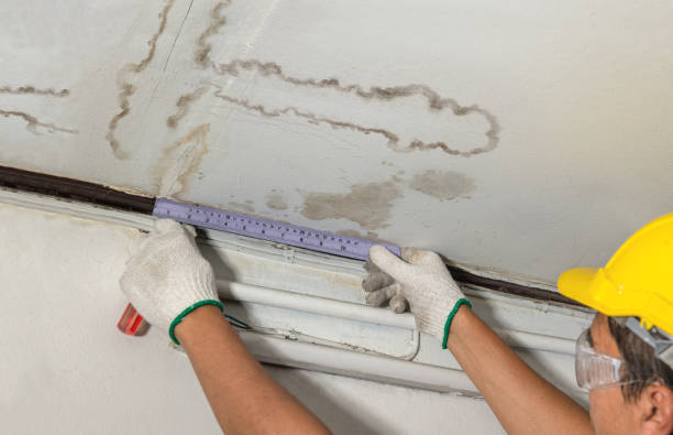 Affordable Water Damage Repair solutions in Cherryfield, ME
